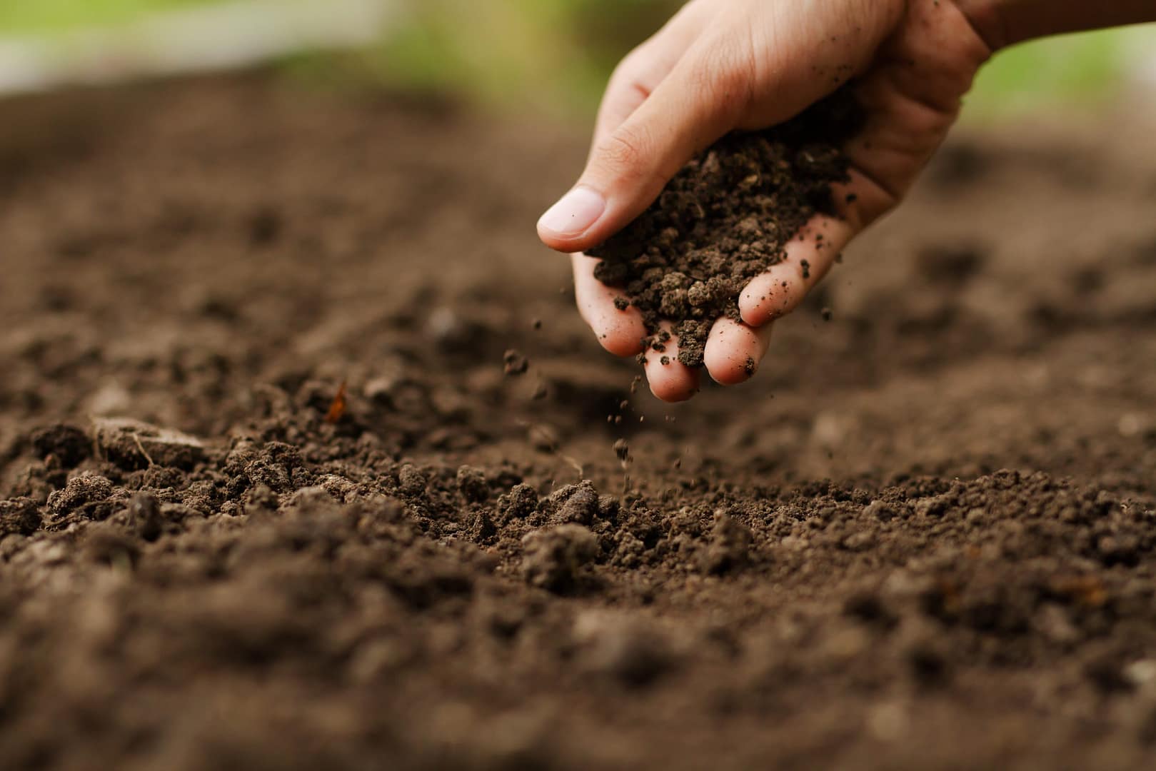 Agriculture and Food systems - image of a hand picking up dirt